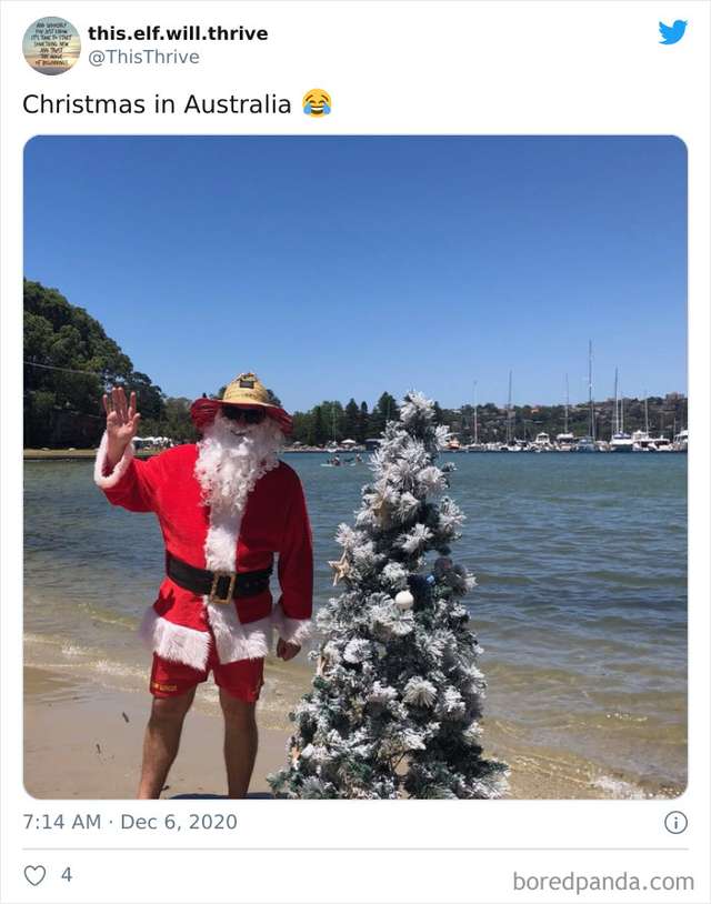 Без снігу і з коалами: як насправді виглядає Різдво в Австралії (фото) - фото 440623
