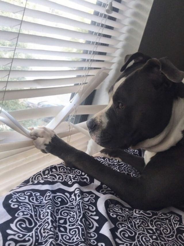 _shesocute - фото 440849