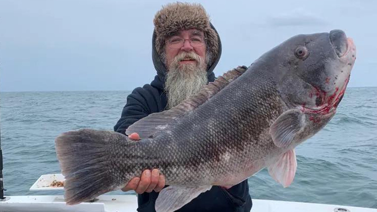 Чоловік упіймав рибу рекордних розмірів за одну хвилину: фото - фото 1