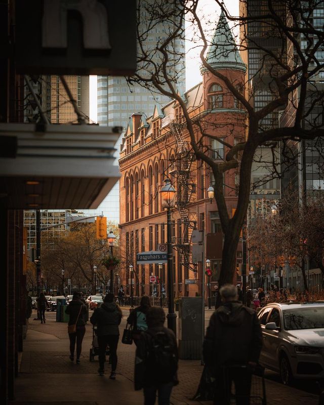 Подорожі в об'єктиві канадського фотографа: захопливі кадри - фото 441235