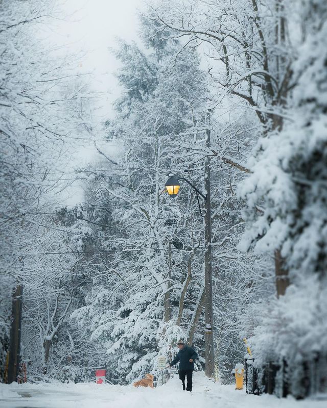 Подорожі в об'єктиві канадського фотографа: захопливі кадри - фото 441240