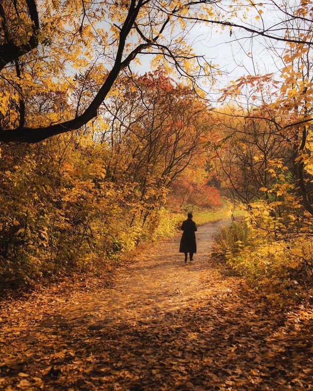 Подорожі в об'єктиві канадського фотографа: захопливі кадри - фото 441242