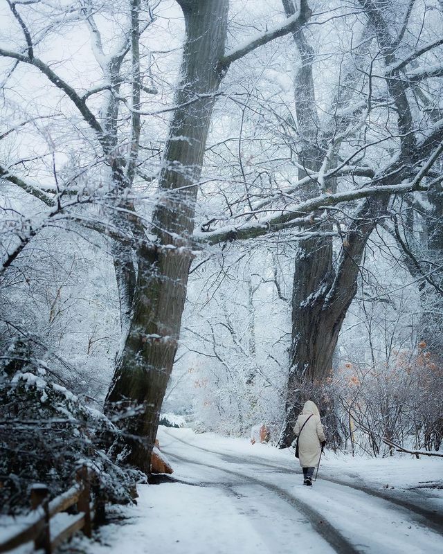 Подорожі в об'єктиві канадського фотографа: захопливі кадри - фото 441243