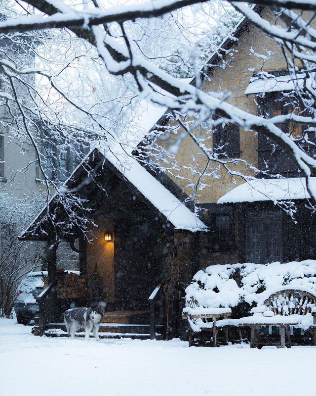 Подорожі в об'єктиві канадського фотографа: захопливі кадри - фото 441250