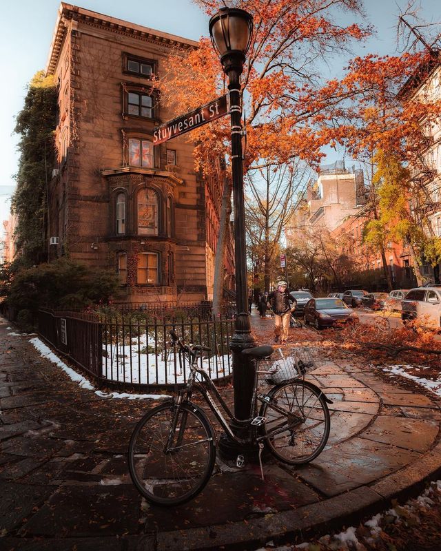 Подорожі в об'єктиві канадського фотографа: захопливі кадри - фото 441255