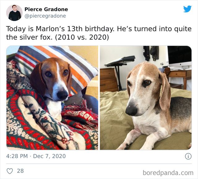 2010 проти 2020: користувачі показують, які змінились за цей час (ефектні фото) - фото 441310