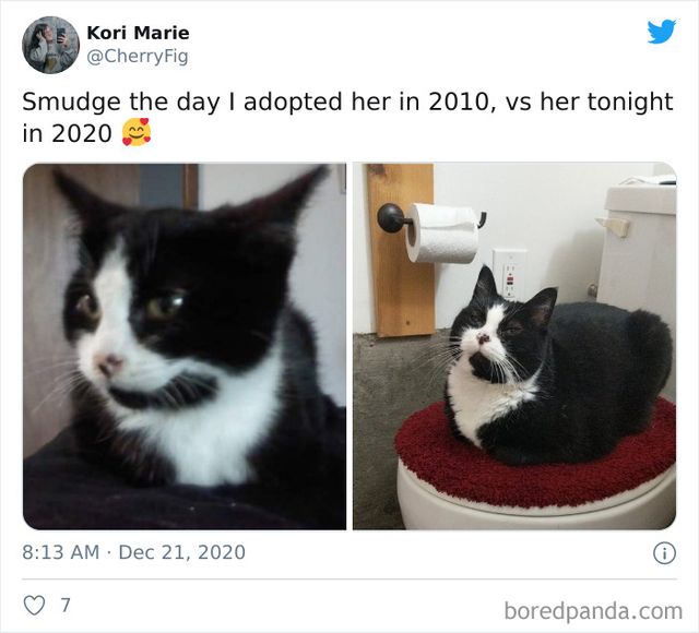 2010 проти 2020: користувачі показують, які змінились за цей час (ефектні фото) - фото 441343