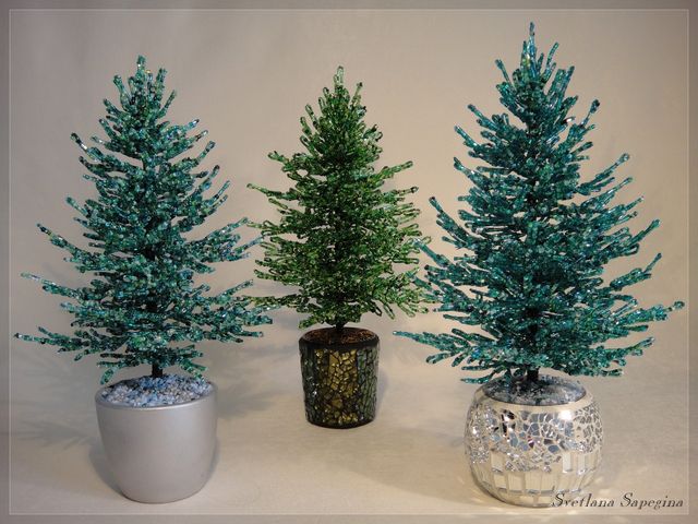 Чому деякі ялинки блакитного кольору - фото 441478