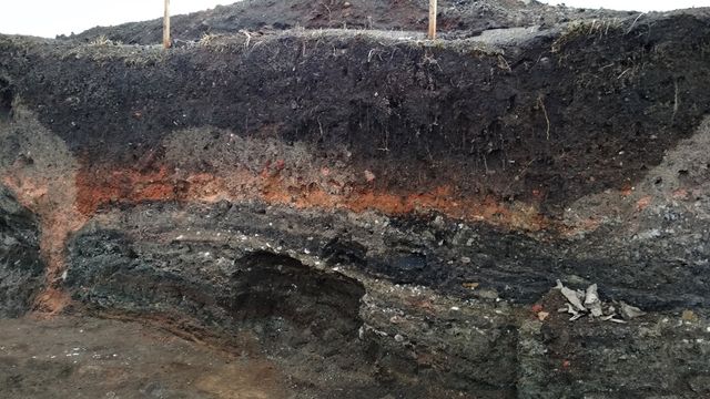 Під Львовом археологи знайшли артефакти часів Київської Русі: фотофакт - фото 441650