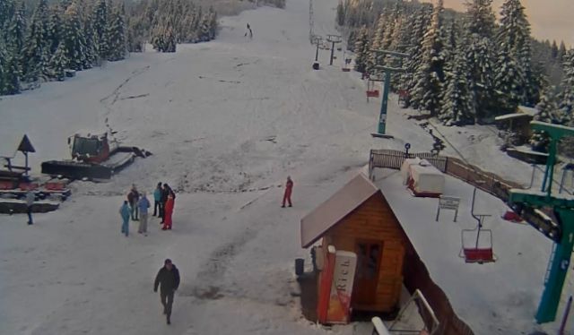 Українські Карпати рясно засипало снігом: казкові фото - фото 441735