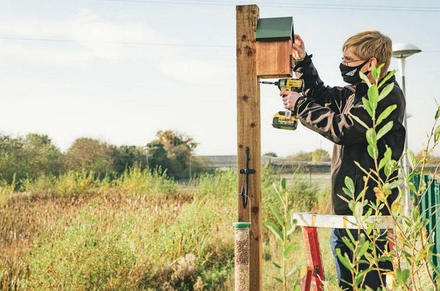 Не лише автомобілі: Bentley показала фірмові шпаківні та будиночки для кажанів - фото 441767