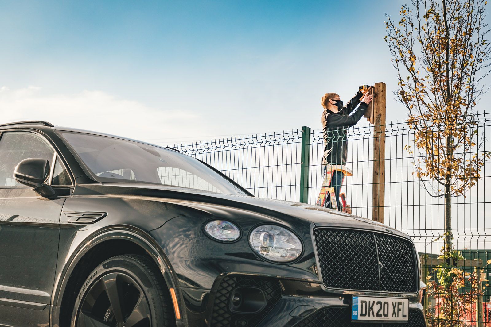 Bentley турбується про птахів і кажанів, які живуть біля заводу - фото 1