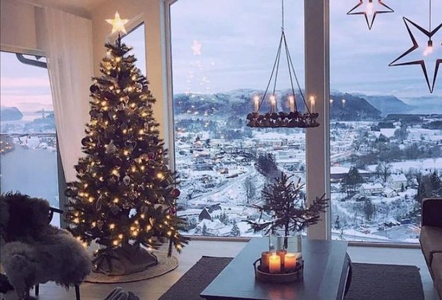 Вчені пояснили, чому ялинка завжди зелена - фото 441823