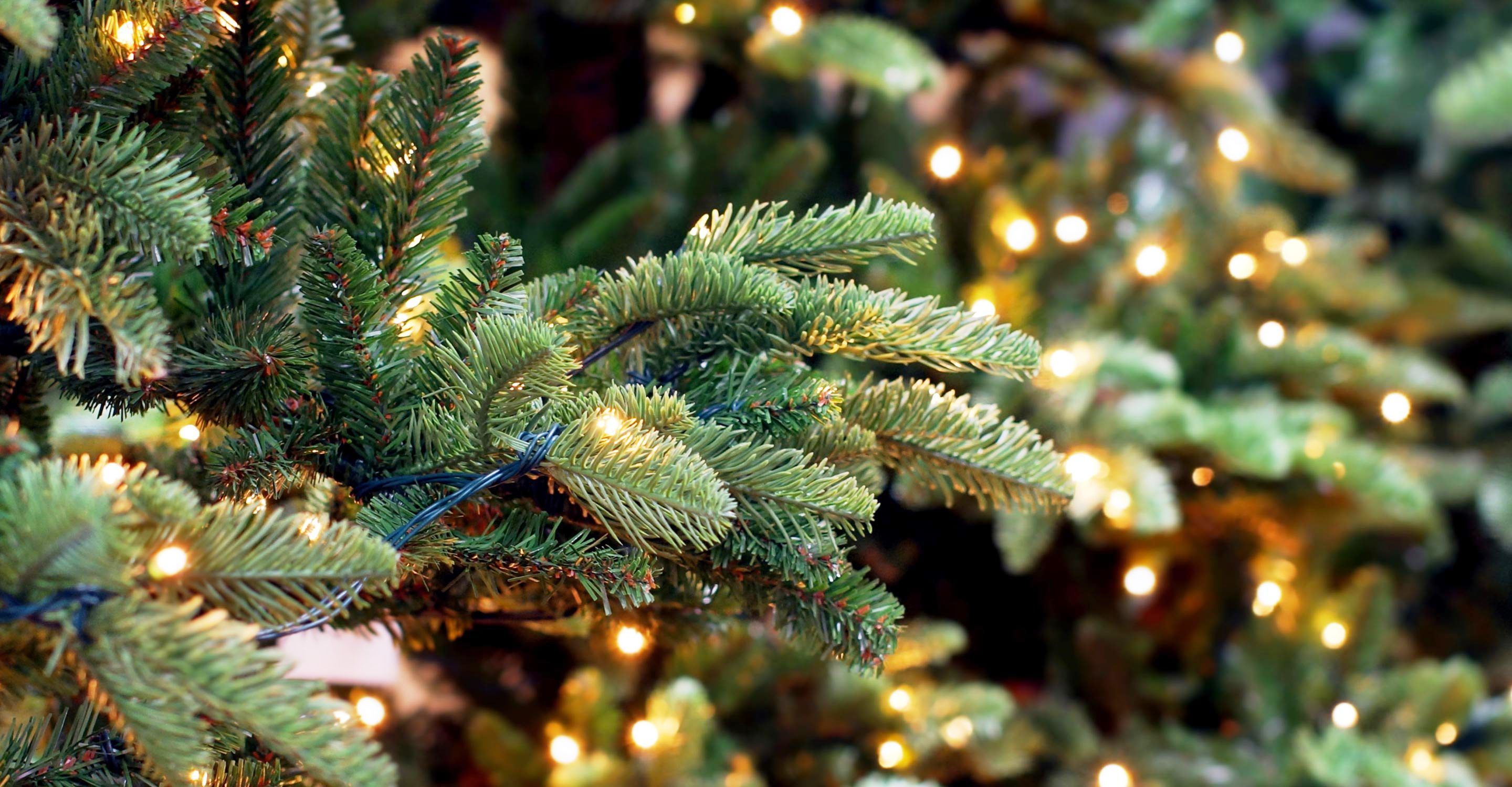 Наука - фото 1