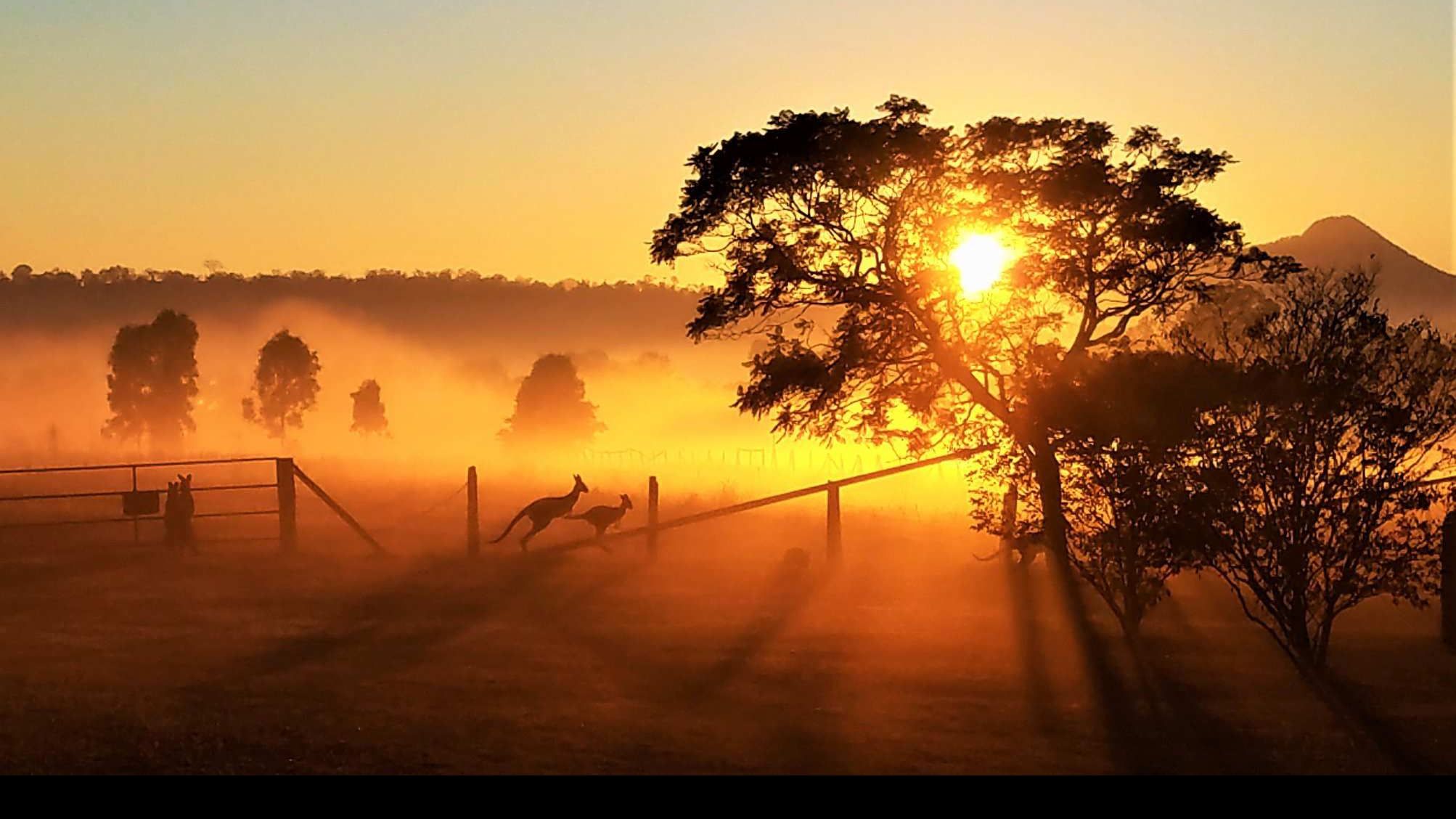 2020 рік побив температурний рекорд Європи і став одним з найспекотніших