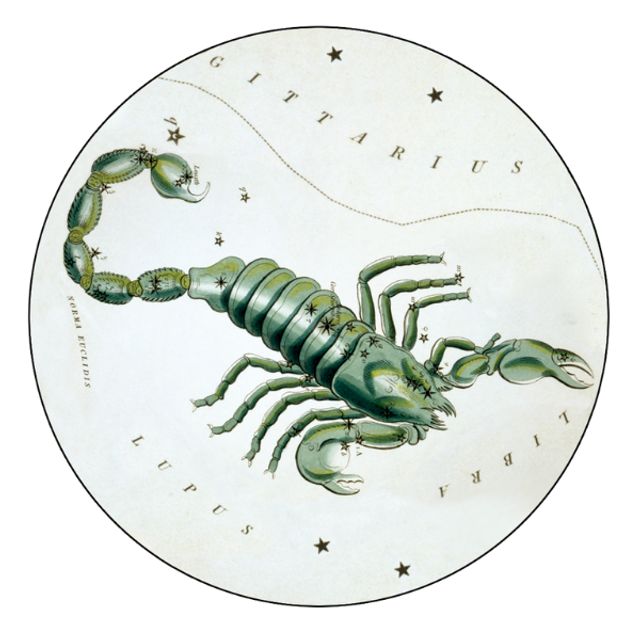 Гороскоп на 28 лютого 2021: прогноз для всіх знаків Зодіаку - фото 442364