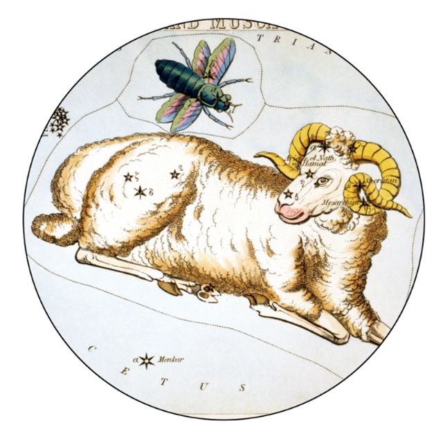 Гороскоп на 28 лютого 2021: прогноз для всіх знаків Зодіаку - фото 442367