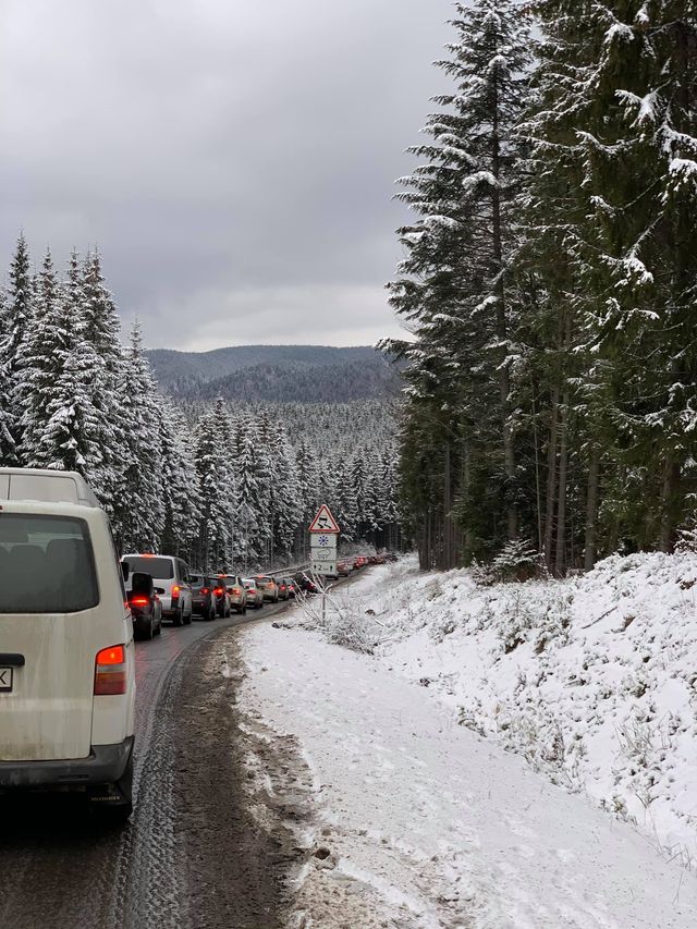 У мережі показали кілометрові черги з авто на Буковель - фото 442382