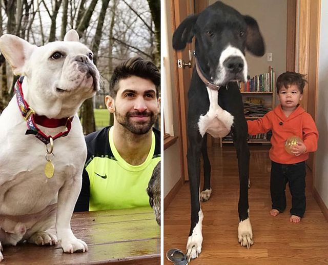 Маленький племінник відтворює фото дядька-моделі: кумедні кадри - фото 442422