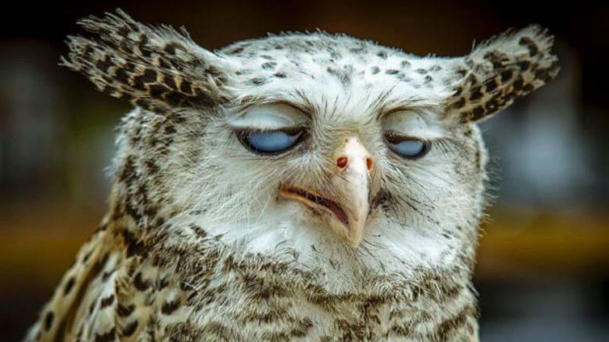 Понеділок - фото 1