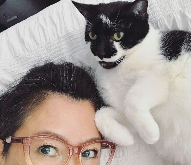 Кішка 11 днів жила в аеропорту Нью-Йорка: як пухнаста туди потрапила - фото 442810