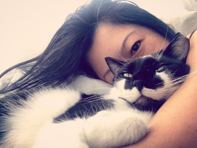 Кішка 11 днів жила в аеропорту Нью-Йорка: як пухнаста туди потрапила - фото 442811