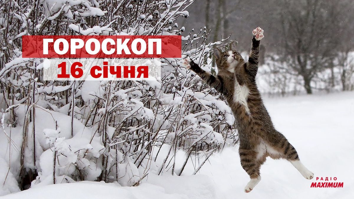 Гороскоп на 16 січня 2021: прогноз для всіх знаків Зодіаку