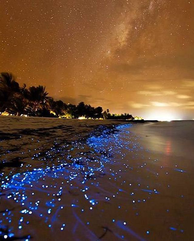 Справжня магія: MONATIK показав приголомшливе фото з відпочинку на Мальдівах - фото 443520