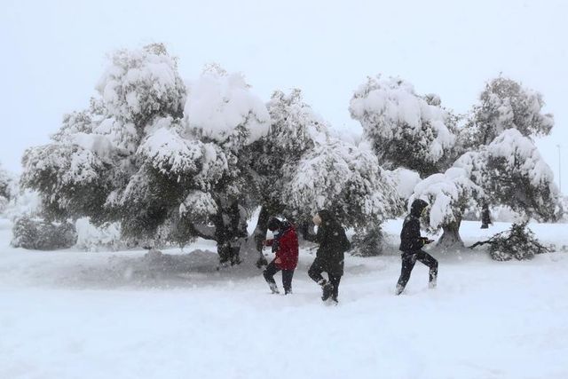 В Іспанії підрахували збитки через аномальний снігопад: фото - фото 443669