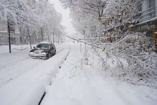 В Іспанії підрахували збитки через аномальний снігопад: фото - фото 443672