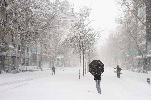 В Іспанії підрахували збитки через аномальний снігопад: фото - фото 443678