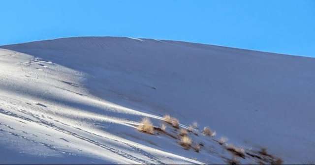 Найбільшу пустелю у світі Сахару засипало снігом: приголомшливі фото - фото 443747