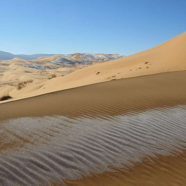 Найбільшу пустелю у світі Сахару засипало снігом: приголомшливі фото - фото 443749