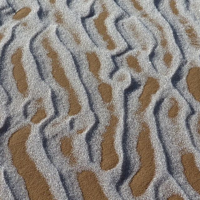 Найбільшу пустелю у світі Сахару засипало снігом: приголомшливі фото - фото 443753