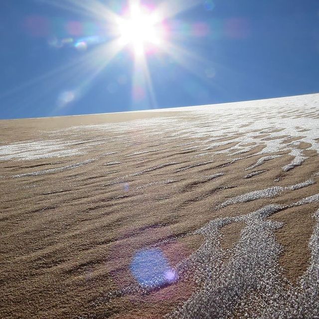 Найбільшу пустелю у світі Сахару засипало снігом: приголомшливі фото - фото 443755