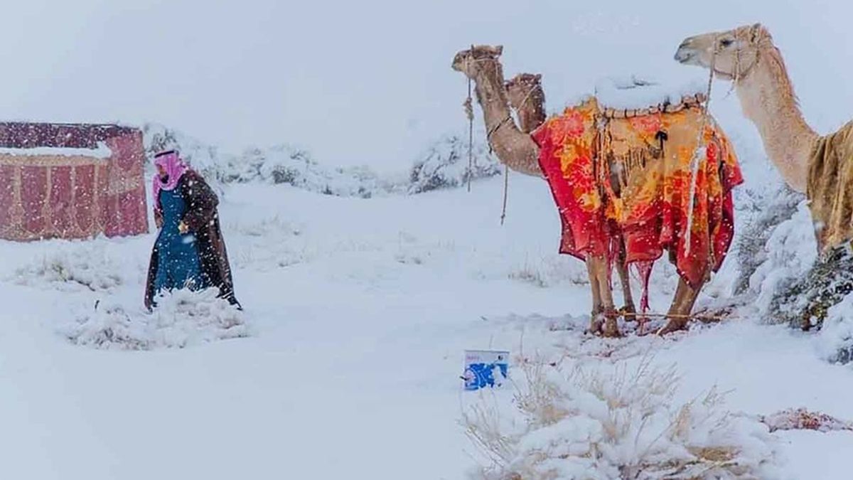 Засніжена Сахара - фото 1