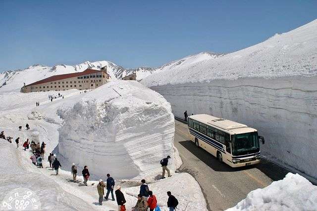 Як виглядає найзасніженіша траса у світі зі сніговим покривом товщиною у 6-поверхівку - фото 443782