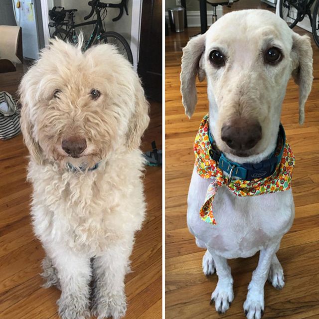 reddit.com - фото 443948