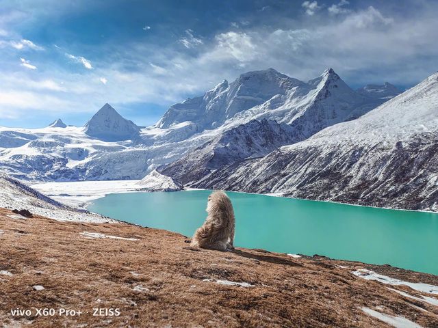 У мережі з'явилися фото, зроблені на смартфон vivo X60 Pro+: круті кадри - фото 444014