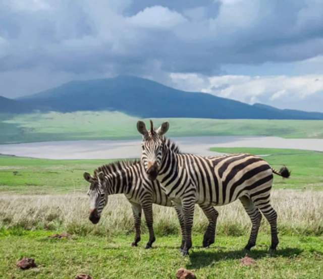 Туристка показала незайману природу Занзібару: атмосферні фото - фото 444046