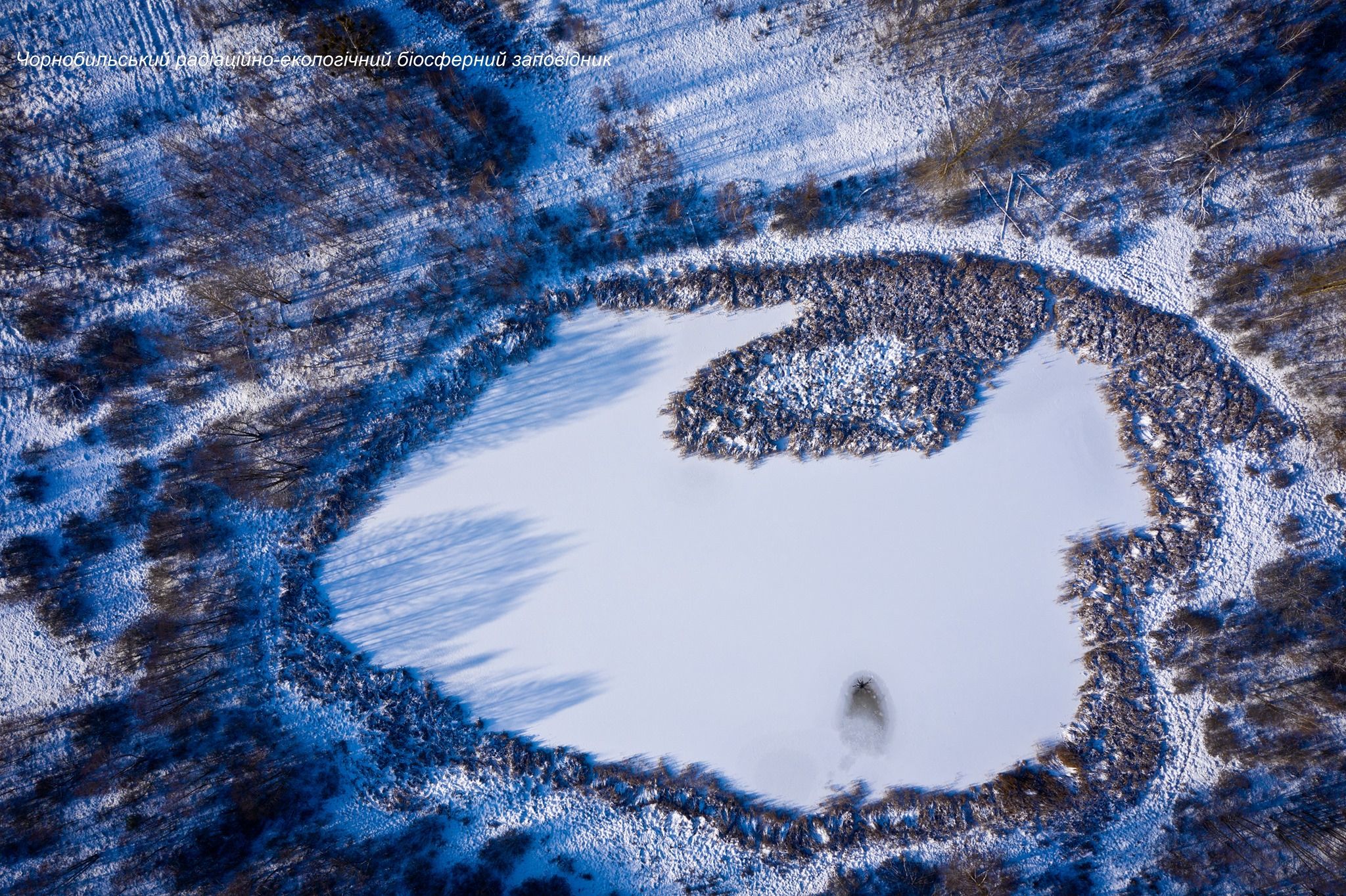 Чонобильський заповідник взимку - фото 1