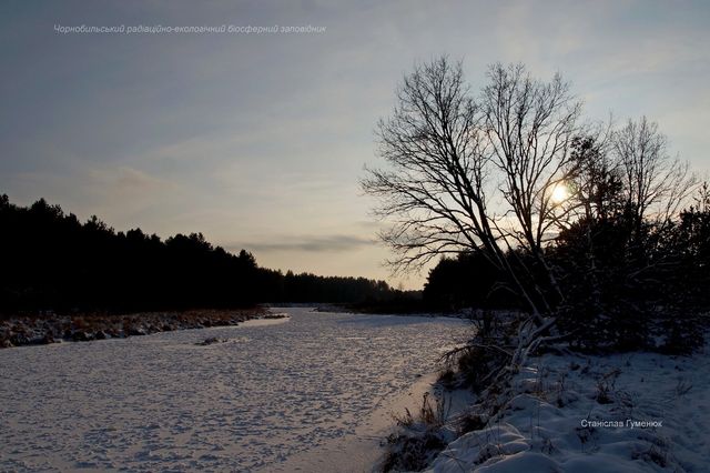 Як виглядають замерзлі водойми в зоні відчуження Чорнобильської АЕС - фото 444329
