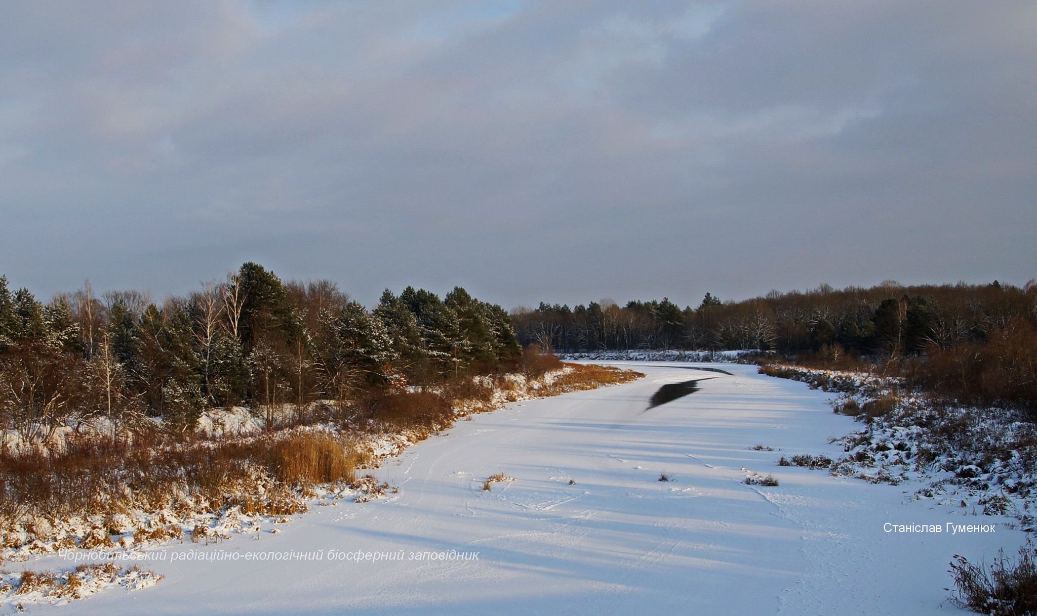 Як виглядають замерзлі водойми в зоні відчуження Чорнобильської АЕС