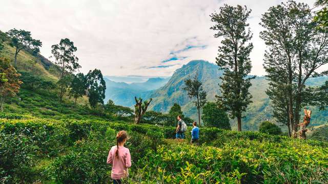 Шрі-Ланка офіційно відкрила кордони для туристів з усього світу, але з новими правилами - фото 444348