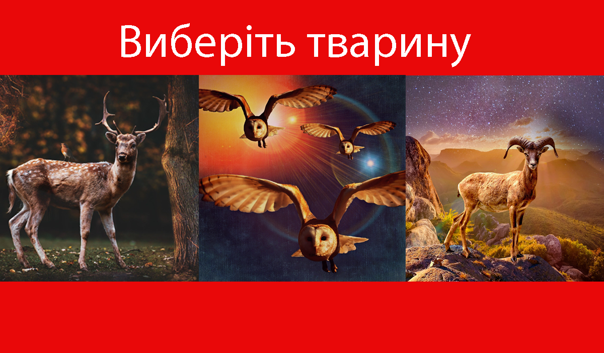 Тест із передбаченням - фото 1