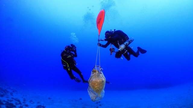 В Егейському морі знайшли сліди древньої корабельної аварії - фото 444829