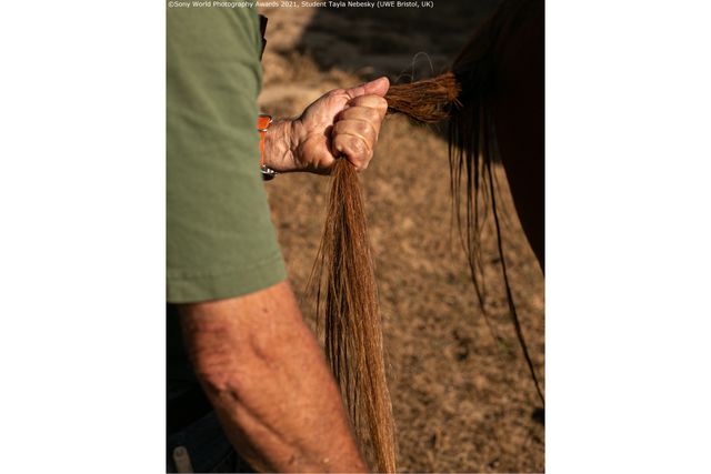 Sony World Photography Awards 2021: найкращі фото, зроблені студентами й учнями - фото 444900