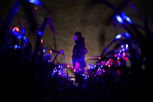 Поле цибулі-порею перетворили в інсталяцію з ультрафіолетовим світлом: космічні кадри - фото 445081