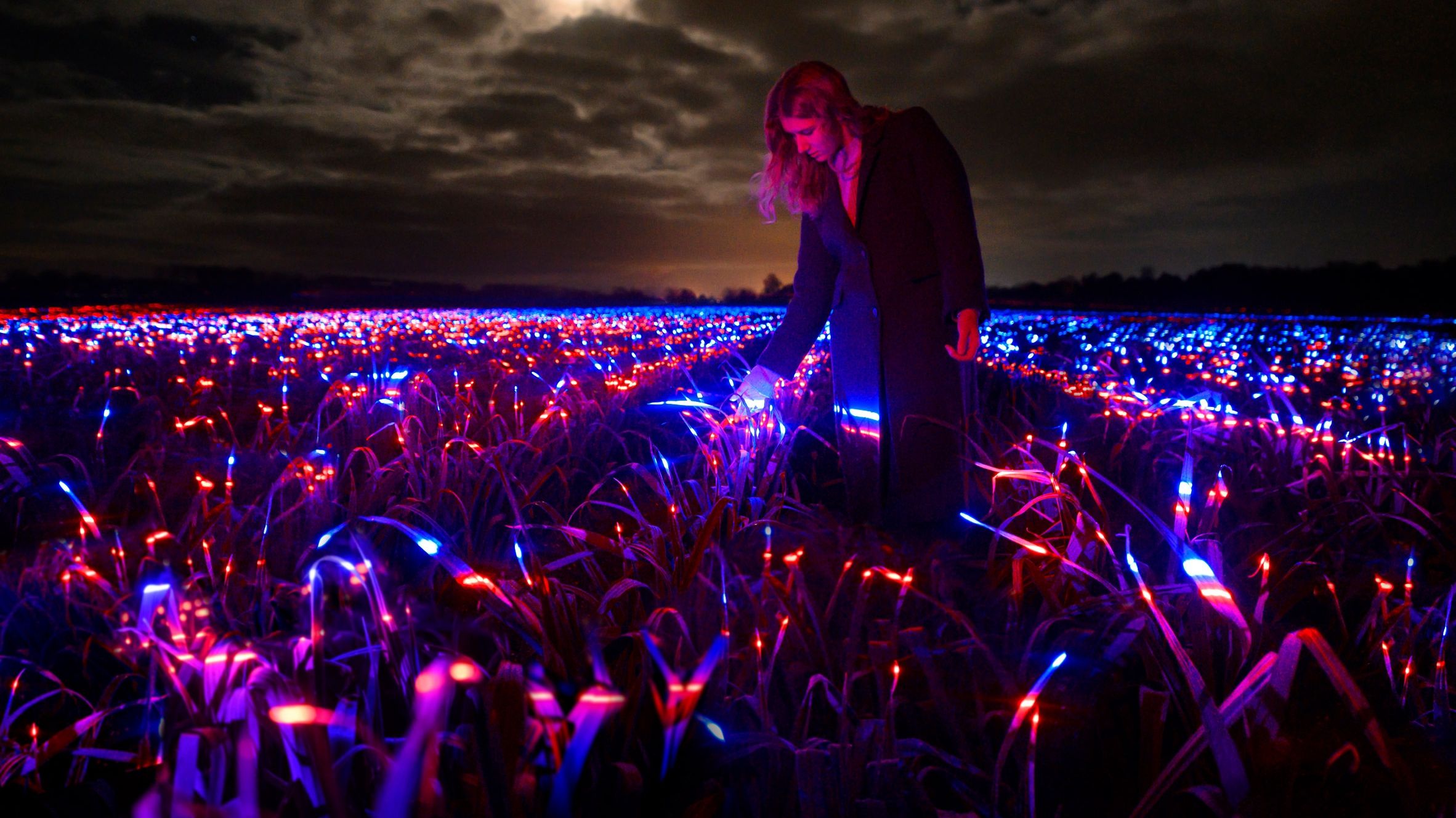 Поле цибулі-порею перетворили в інсталяцію з ультрафіолетовим світлом: космічні кадри - фото 1