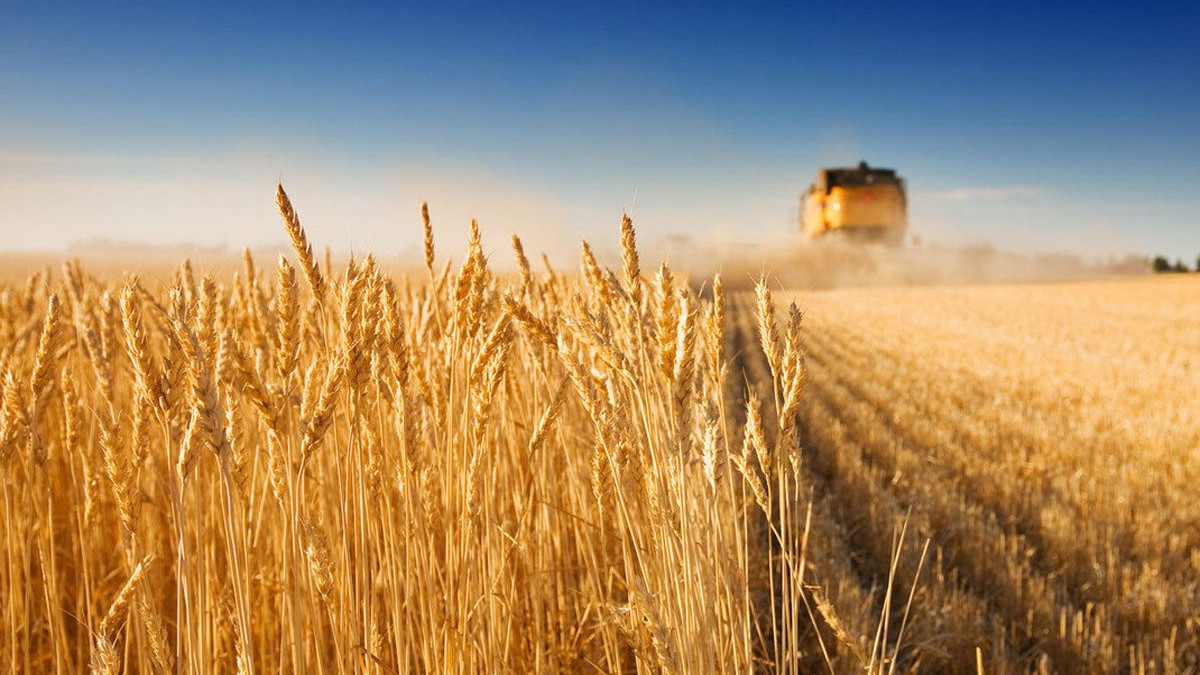 Компания "Евротерминал" оптимизирует инфраструктуру зерновой логистики Украины - фото 1